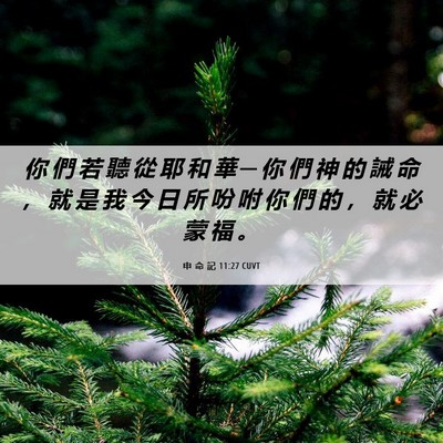 Picture 06 - 申 命 記 11:27 CUVT - 你 們 若 聽 從 耶 和 華 ─ 你 們 神 - Bible Verse Picture