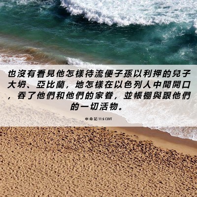 Picture 06 - 申 命 記 11:6 CUVT - 也 沒 有 看 見 他 怎 樣 待 流 便 子 - Bible Verse Picture