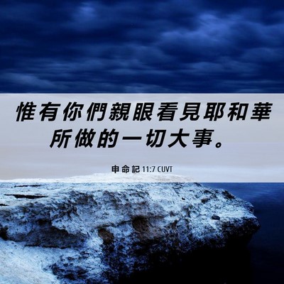 Picture 06 - 申 命 記 11:7 CUVT - 惟 有 你 們 親 眼 看 見 耶 和 華 所 - Bible Verse Picture