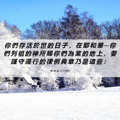 Picture 06 - 申 命 記 12:1 CUVT - 你 們 存 活 於 世 的 日 子 ， 在 耶 - Bible Verse Picture