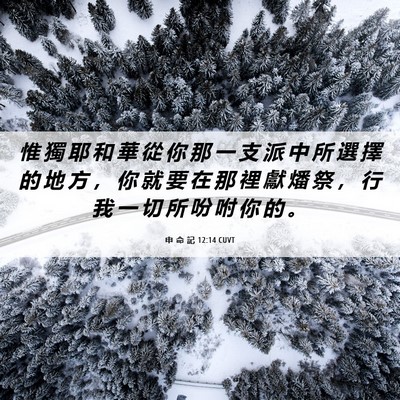 Picture 06 - 申 命 記 12:14 CUVT - 惟 獨 耶 和 華 從 你 那 一 支 派 中 - Bible Verse Picture