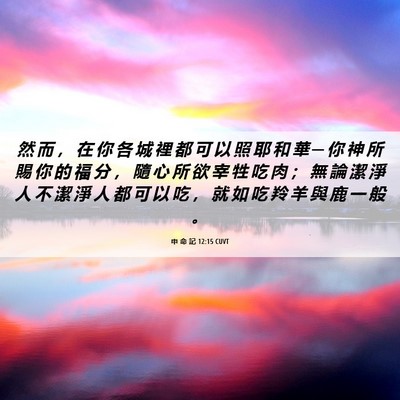 Picture 06 - 申 命 記 12:15 CUVT - 然 而 ， 在 你 各 城 裡 都 可 以 照 - Bible Verse Picture