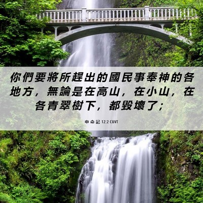 Picture 06 - 申 命 記 12:2 CUVT - 你 們 要 將 所 趕 出 的 國 民 事 奉 - Bible Verse Picture