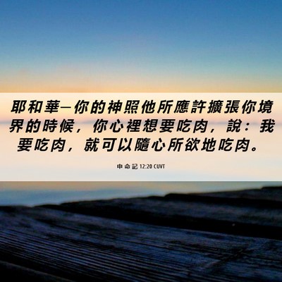 Picture 06 - 申 命 記 12:20 CUVT - 耶 和 華 ─ 你 的 神 照 他 所 應 許 - Bible Verse Picture