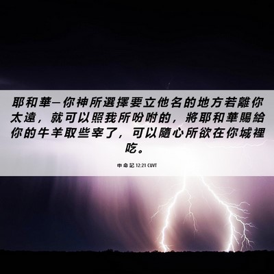 Picture 06 - 申 命 記 12:21 CUVT - 耶 和 華 ─ 你 神 所 選 擇 要 立 他 - Bible Verse Picture