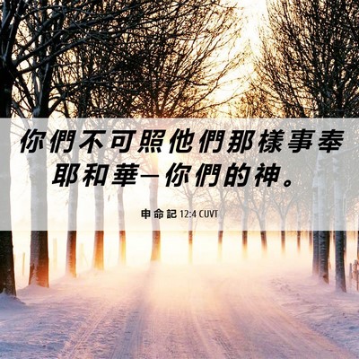 Picture 06 - 申 命 記 12:4 CUVT - 你 們 不 可 照 他 們 那 樣 事 奉 耶 - Bible Verse Picture