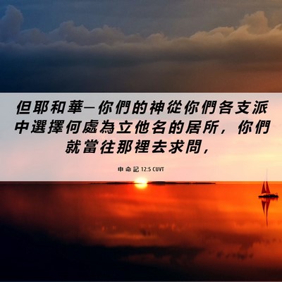 Picture 06 - 申 命 記 12:5 CUVT - 但 耶 和 華 ─ 你 們 的 神 從 你 們 - Bible Verse Picture