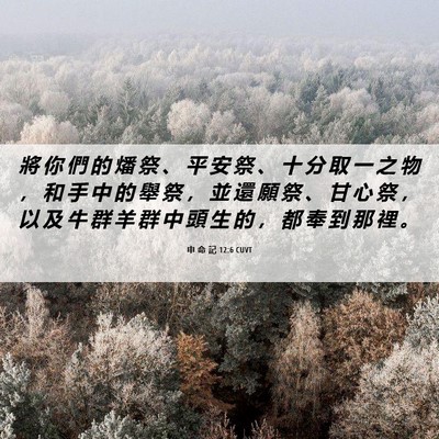 Picture 06 - 申 命 記 12:6 CUVT - 將 你 們 的 燔 祭 、 平 安 祭 、 十 - Bible Verse Picture