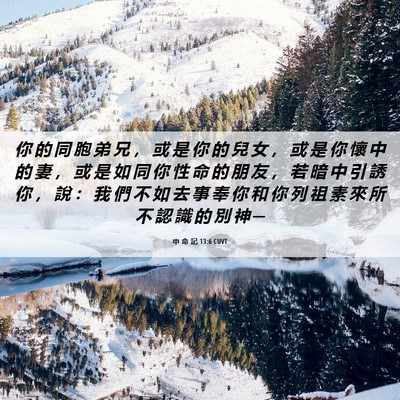 Picture 06 - 申 命 記 13:6 CUVT - 你 的 同 胞 弟 兄 ， 或 是 你 的 兒 - Bible Verse Picture