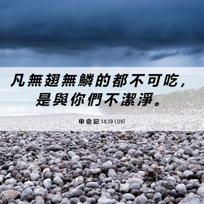 Picture 06 - 申 命 記 14:10 CUVT - 凡 無 翅 無 鱗 的 都 不 可 吃 ， 是 - Bible Verse Picture