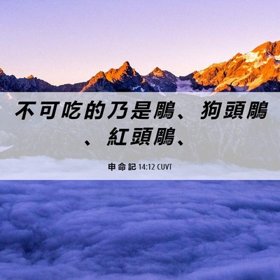 Picture 06 - 申 命 記 14:12 CUVT - 不 可 吃 的 乃 是 鵰 、 狗 頭 鵰 、 - Bible Verse Picture