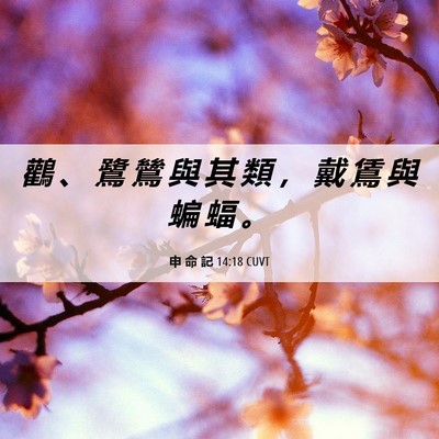 Picture 06 - 申 命 記 14:18 CUVT - 鸛 、 鷺 鷥 與 其 類 ， 戴 鵀 與 蝙 - Bible Verse Picture