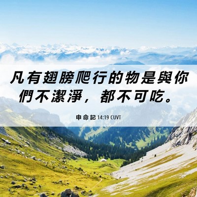 Picture 06 - 申 命 記 14:19 CUVT - 凡 有 翅 膀 爬 行 的 物 是 與 你 們 - Bible Verse Picture