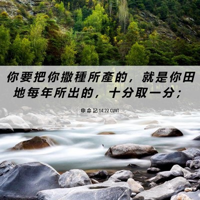 Picture 06 - 申 命 記 14:22 CUVT - 你 要 把 你 撒 種 所 產 的 ， 就 是 - Bible Verse Picture