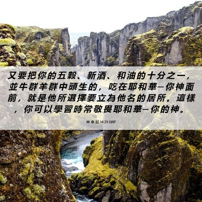 Picture 06 - 申 命 記 14:23 CUVT - 又 要 把 你 的 五 穀 、 新 酒 、 和 - Bible Verse Picture