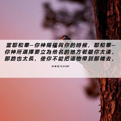 Picture 06 - 申 命 記 14:24 CUVT - 當 耶 和 華 ─ 你 神 賜 福 與 你 的 - Bible Verse Picture