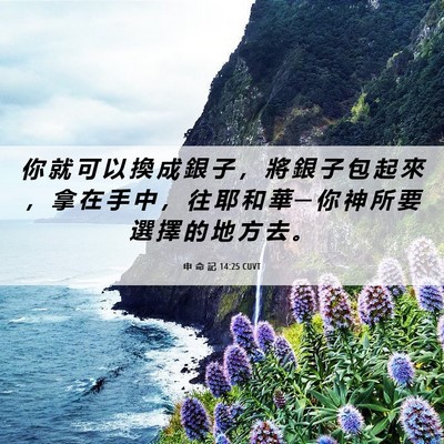 Picture 06 - 申 命 記 14:25 CUVT - 你 就 可 以 換 成 銀 子 ， 將 銀 子 - Bible Verse Picture