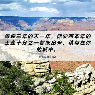 Picture 06 - 申 命 記 14:28 CUVT - 每 逢 三 年 的 末 一 年 ， 你 要 將 - Bible Verse Picture
