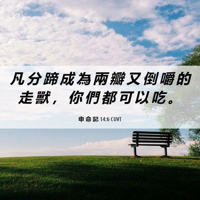 Picture 06 - 申 命 記 14:6 CUVT - 凡 分 蹄 成 為 兩 瓣 又 倒 嚼 的 走 - Bible Verse Picture