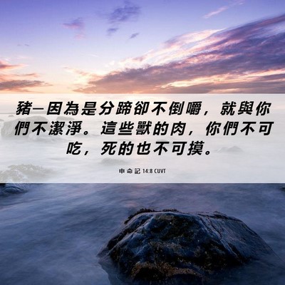 Picture 06 - 申 命 記 14:8 CUVT - 豬 ─ 因 為 是 分 蹄 卻 不 倒 嚼 ， - Bible Verse Picture
