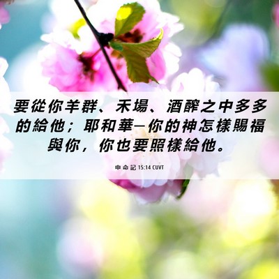 Picture 06 - 申 命 記 15:14 CUVT - 要 從 你 羊 群 、 禾 場 、 酒 醡 之 - Bible Verse Picture