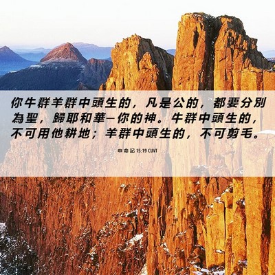Picture 06 - 申 命 記 15:19 CUVT - 你 牛 群 羊 群 中 頭 生 的 ， 凡 是 - Bible Verse Picture