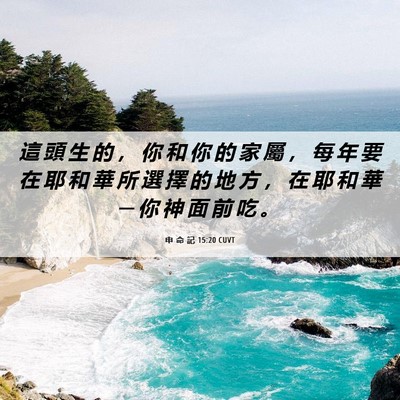 Picture 06 - 申 命 記 15:20 CUVT - 這 頭 生 的 ， 你 和 你 的 家 屬 ， - Bible Verse Picture