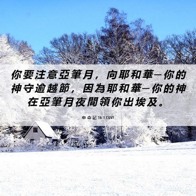 Picture 06 - 申 命 記 16:1 CUVT - 你 要 注 意 亞 筆 月 ， 向 耶 和 華 - Bible Verse Picture