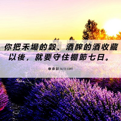 Picture 06 - 申 命 記 16:13 CUVT - 你 把 禾 場 的 穀 、 酒 醡 的 酒 收 - Bible Verse Picture