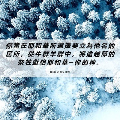Picture 06 - 申 命 記 16:2 CUVT - 你 當 在 耶 和 華 所 選 擇 要 立 為 - Bible Verse Picture