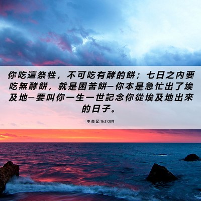Picture 06 - 申 命 記 16:3 CUVT - 你 吃 這 祭 牲 ， 不 可 吃 有 酵 的 - Bible Verse Picture