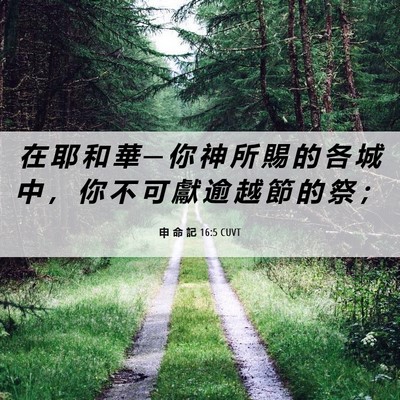 Picture 06 - 申 命 記 16:5 CUVT - 在 耶 和 華 ─ 你 神 所 賜 的 各 城 - Bible Verse Picture