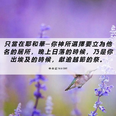 Picture 06 - 申 命 記 16:6 CUVT - 只 當 在 耶 和 華 ─ 你 神 所 選 擇 - Bible Verse Picture