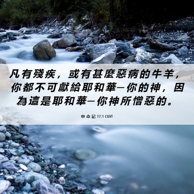 Picture 06 - 申 命 記 17:1 CUVT - 凡 有 殘 疾 ， 或 有 甚 麼 惡 病 的 - Bible Verse Picture