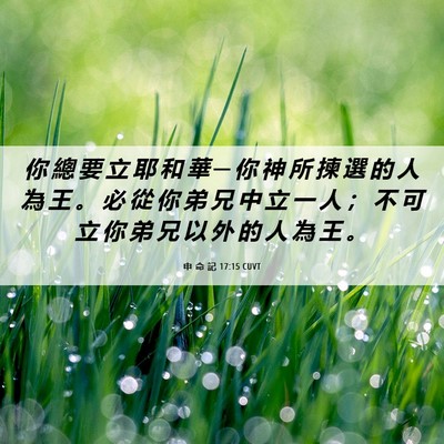 Picture 06 - 申 命 記 17:15 CUVT - 你 總 要 立 耶 和 華 ─ 你 神 所 揀 - Bible Verse Picture