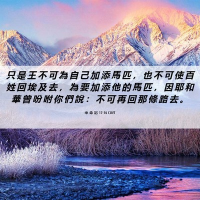 Picture 06 - 申 命 記 17:16 CUVT - 只 是 王 不 可 為 自 己 加 添 馬 匹 - Bible Verse Picture