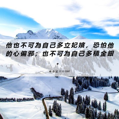 Picture 06 - 申 命 記 17:17 CUVT - 他 也 不 可 為 自 己 多 立 妃 嬪 ， - Bible Verse Picture