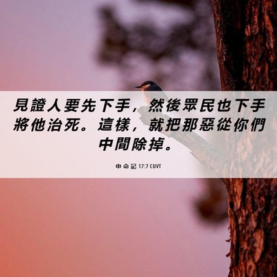 Picture 06 - 申 命 記 17:7 CUVT - 見 證 人 要 先 下 手 ， 然 後 眾 民 - Bible Verse Picture