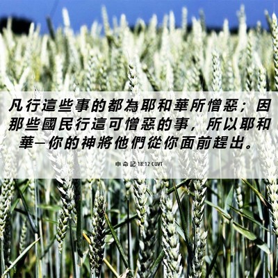 Picture 06 - 申 命 記 18:12 CUVT - 凡 行 這 些 事 的 都 為 耶 和 華 所 - Bible Verse Picture
