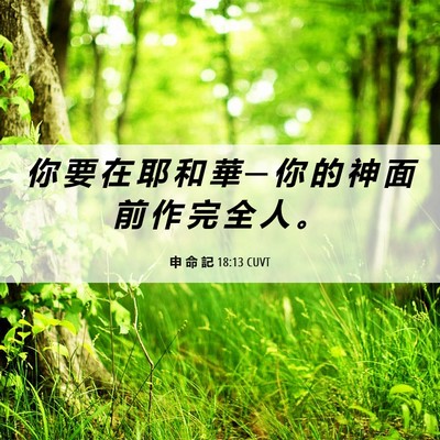 Picture 06 - 申 命 記 18:13 CUVT - 你 要 在 耶 和 華 ─ 你 的 神 面 前 - Bible Verse Picture