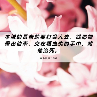 Picture 06 - 申 命 記 19:12 CUVT - 本 城 的 長 老 就 要 打 發 人 去 ， - Bible Verse Picture