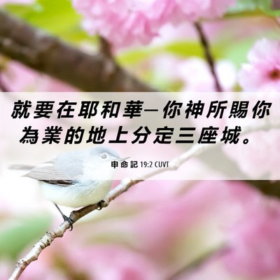 Picture 06 - 申 命 記 19:2 CUVT - 就 要 在 耶 和 華 ─ 你 神 所 賜 你 - Bible Verse Picture