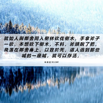 Picture 06 - 申 命 記 19:5 CUVT - 就 如 人 與 鄰 舍 同 入 樹 林 砍 伐 - Bible Verse Picture