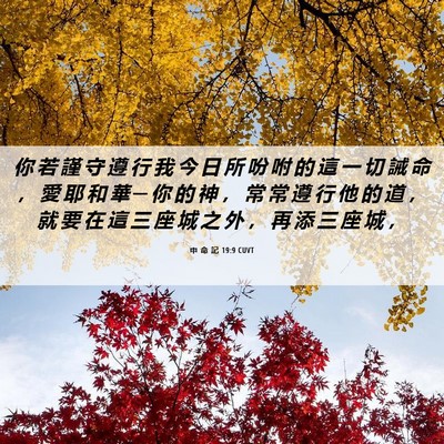 Picture 06 - 申 命 記 19:9 CUVT - 你 若 謹 守 遵 行 我 今 日 所 吩 咐 - Bible Verse Picture
