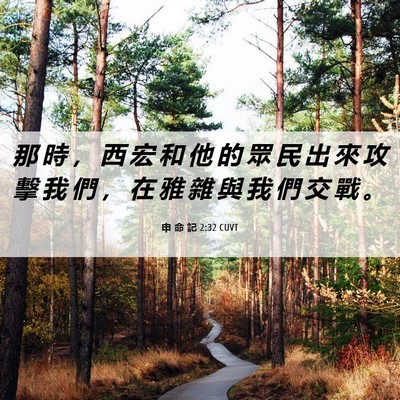 Picture 06 - 申 命 記 2:32 CUVT - 那 時 ， 西 宏 和 他 的 眾 民 出 來 - Bible Verse Picture
