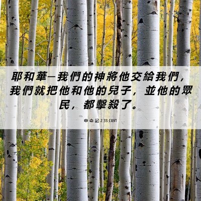 Picture 06 - 申 命 記 2:33 CUVT - 耶 和 華 ─ 我 們 的 神 將 他 交 給 - Bible Verse Picture