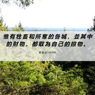 Picture 06 - 申 命 記 2:35 CUVT - 惟 有 牲 畜 和 所 奪 的 各 城 ， 並 - Bible Verse Picture