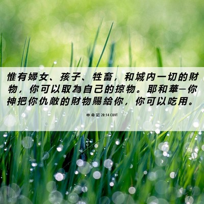 Picture 06 - 申 命 記 20:14 CUVT - 惟 有 婦 女 、 孩 子 、 牲 畜 ， 和 - Bible Verse Picture