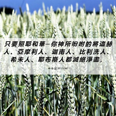 Picture 06 - 申 命 記 20:17 CUVT - 只 要 照 耶 和 華 ─ 你 神 所 吩 咐 - Bible Verse Picture