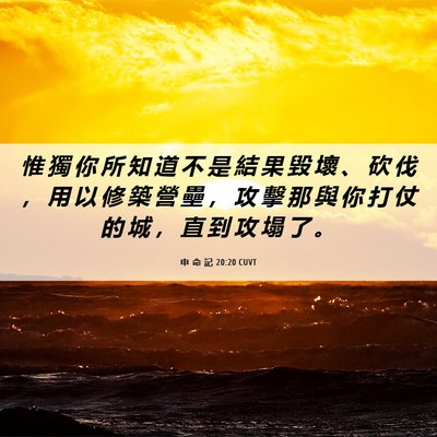 Picture 06 - 申 命 記 20:20 CUVT - 惟 獨 你 所 知 道 不 是 結 果 毀 壞 - Bible Verse Picture